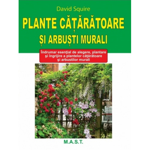 Plante cataratoare si arbusti murali Plante cataratoare si arbusti murali
