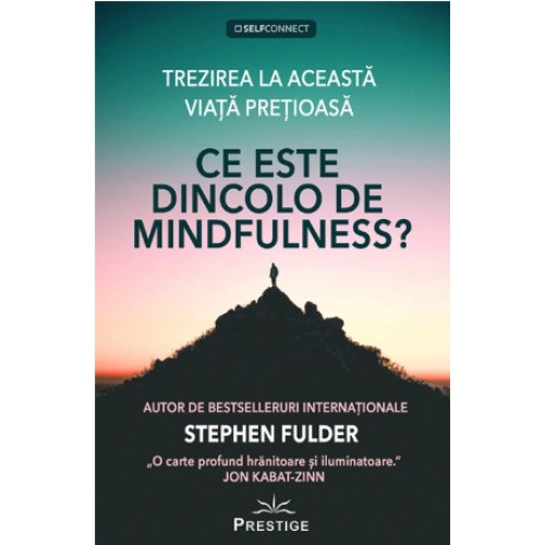 Ce este dincolo de Mindfulness? - Stephen Fulder Ce este dincolo de Mindfulness? - Stephen Fulder